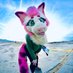 Tuna_luna_fish (@tuna_luna_fish) Twitter profile photo Tuna_luna_fish (@tuna_luna_fish) Twitter profile photo