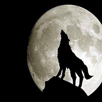 AAlkhtyb99947's profile picture. أمشي علي قدمك المكسوره ولا تترك أثر يدك علي كتف أحد ✋