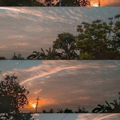 rahul411197's profile picture.