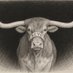 bevo_archives (@bevo_archives05) Twitter profile photo bevo_archives (@bevo_archives05) Twitter profile photo