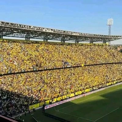 Humble,easy to talk to,always sees a need to help others,having a huge belief in norms,values and culture,Yellow in Blood👆