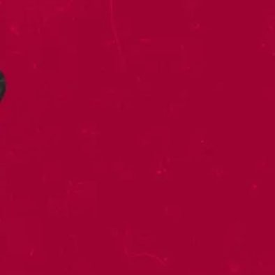 suryadxvv's profile picture. trader and maybe your gambler