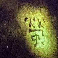 水楢 (@mznlhtrb) Twitter profile photo