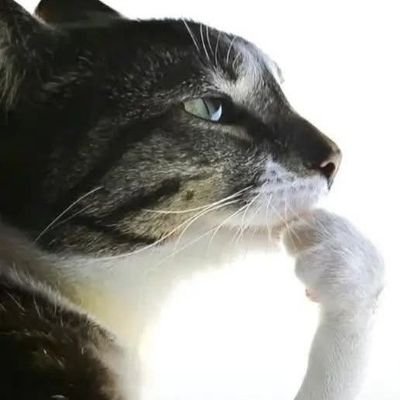 JuanMs40's profile picture. 