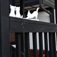 나스_cosPic (@nasuphoto) 's Twitter Profile