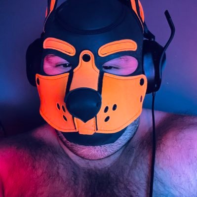 PupPumpkin91's profile picture. Gay Canadian Pup that adores spooky season. insta @pup_pumpkin91 threads @pup_pumpkin91
