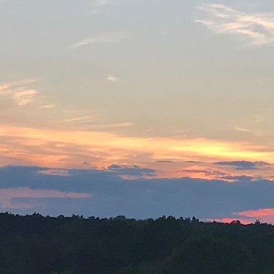 getrealorgo's profile picture. 