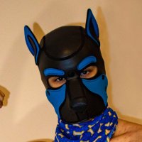 AD_NoxTheShark (@ad_noxtheshark) 's Twitter Profile Photo AD_NoxTheShark (@ad_noxtheshark) 's Twitter Profile Photo
