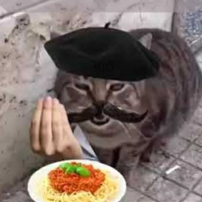 MrCatman64 🇮🇹🇧🇷 Profile