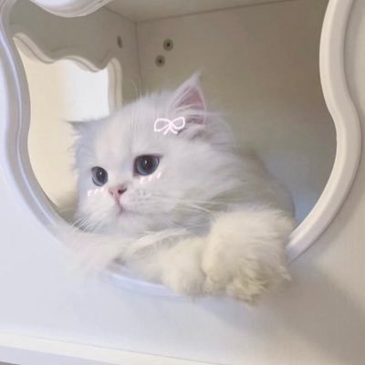 めろくて あまい にゃんにゃん  ˆ ܸ.  ̫ .ܸ ˆ ♡