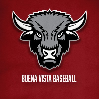 Buena Vista Baseball/ Big O Auto Post #331 Profile