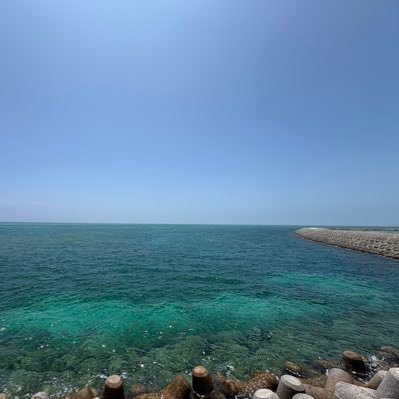 hidenimo's profile picture. ph.D , MBA 趣味はダイビングと旅行(五大陸 計38か国)