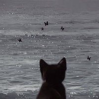 ꄗ (@tm03z) 's Twitter Profile