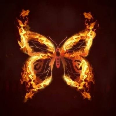flameomoth's profile picture. Moth enthusiast