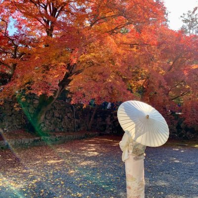 私は神社の自然への敬愛、先祖への尊敬、調和とバランスを求める精神、そして自己浄化と修養に魅力を感じています🌿✨
時間がある限り、各地の神社を参拝して、御朱印を集めることが大好きです⛩️💫
同じ興味を持つ友達と交流したいので🤝
を持っているなら、ぜひお互いに経験や情報を交換しましょう!🌸🌸