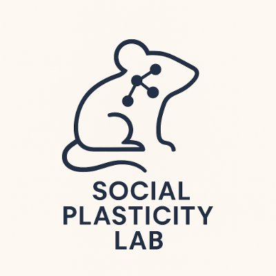 Led by Nicolas Gutierrez Castellanos. We are interested in the neural basis of social behaviors