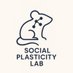Social Plasticity lab (@socialplast) Twitter profile photo Social Plasticity lab (@socialplast) Twitter profile photo