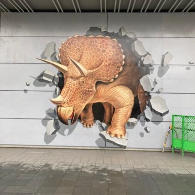 sora45632's profile picture. 