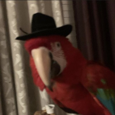 chromaさんのプロフィール画像