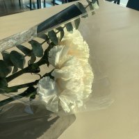 Alcoholism_nn (@cate_th) 's Twitter Profile