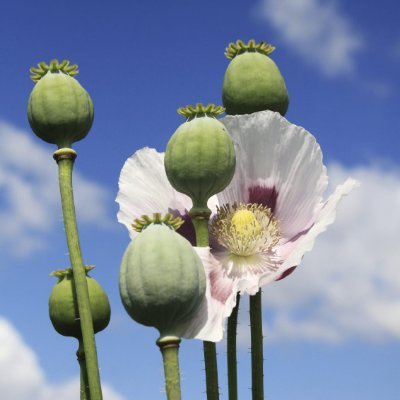 noname64022284's profile picture. 只要不暴论就永远不会被看笑话/没有太多可以写的