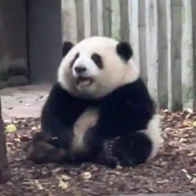 サトさんのプロフィール画像