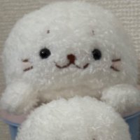 ma (@___shiro6) 's Twitter Profile
