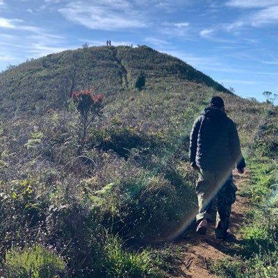 adrianibrahimmm's profile picture. 