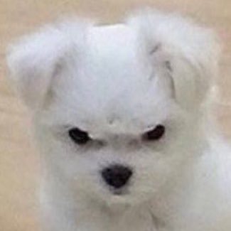 ummunx's profile picture. 