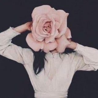 zamankalfasii's profile picture. 