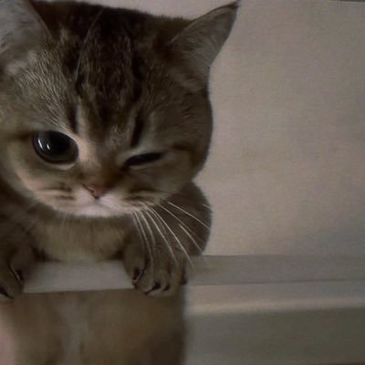 minesom3's profile picture. 