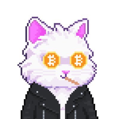 0x_rubie's profile picture. Honorable @brainboxintel Ordinals enthusiast! $LEO on STACKS