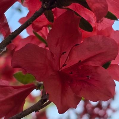 AB_PolSci's profile picture. Act for the people. Fight for what is moral. Deny what is unjust.