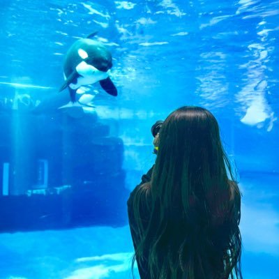 水族館🐬が大好きです。👶🏻と2人でバタバタライフ過ごしてます。目標は全国の水族館に行くこととお友達を沢山作ること。いつも頑張ってるアースとわんぱくれいくん大好き🫶年パス▸▸▸名古屋港水族館・アクア・トトぎふ・東山動植物園 水族館以外@mikine__121 鍵サブ→@mikine__24
