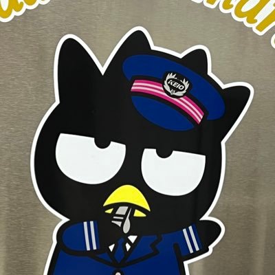 nikuniku_wawawa's profile picture. 取引用アカウント、普段はそこまで稼働しません🙇‍♀️ サンリオ（ばつ丸） / ピクミン がメインです。