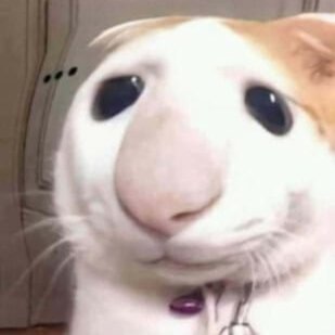 JxyceDang's profile picture. RATCTF
Thr4t Hunt1n9 CTF