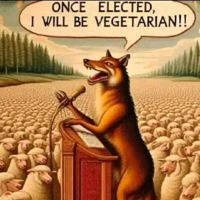 akaju112's profile picture. female