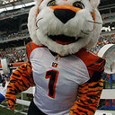 stephen dougherty - @stephend1022 - Twitter