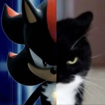 Sigma Malewifeさんのプロフィール画像