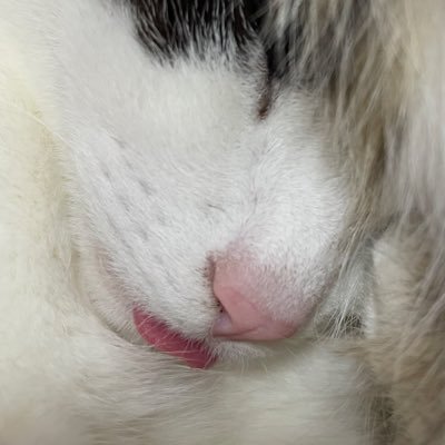 8nato8's profile picture. 