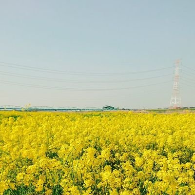 クルコさんのプロフィール画像