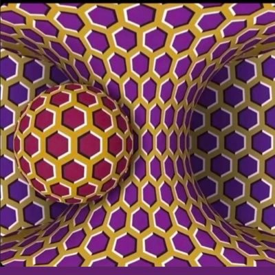 Samd2912's profile picture. king of the round trip, taking profit is for jeets! where’s your conviction?