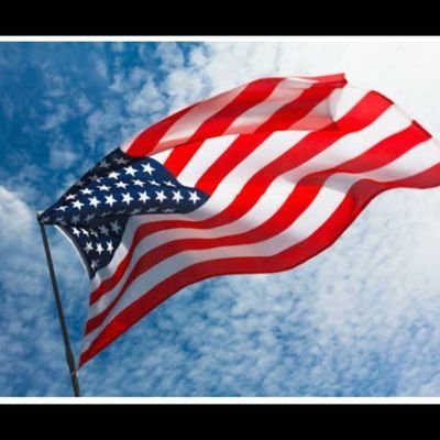 VitorVieir64926's profile picture. 🚀🇺🇲