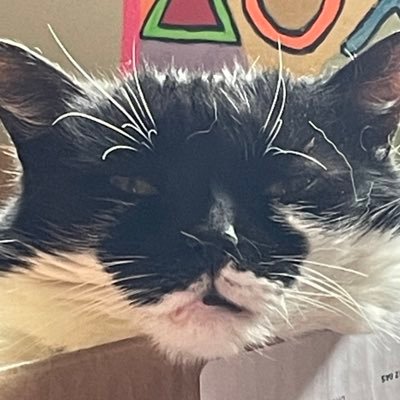 Links to my shops and Youtube - https://t.co/XAb9gXDuHB