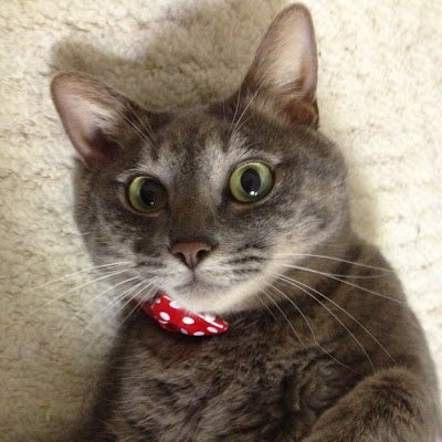 firemachin39314's profile picture. 