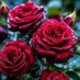 𝓐𝓫𝓭𝓾𝓵𝓵𝓪𝓱 (@bdllh221292) Twitter profile photo 𝓐𝓫𝓭𝓾𝓵𝓵𝓪𝓱 (@bdllh221292) Twitter profile photo