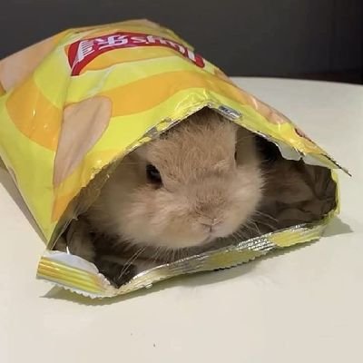 sincerely_young's profile picture. 