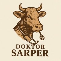 Sarper Büyükbaş (@drsarperb) 's Twitter Profile