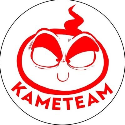 TheKameTeamさんのプロフィール画像