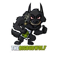 BIGBUDWOLF⬡⬣ HEXACHRON ⬣⬡ (@thebigbudwolf) 's Twitter Profile
